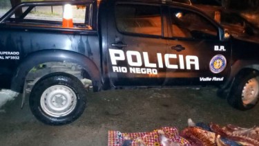La carne fue decomisada para su incineración. (Foto gentileza)