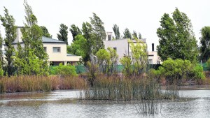 Buscan que el arroyo Todero vuelva a ocupar su cauce