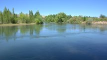 Imagen de Hallaron muerto a un nene que era intensamente buscado tras caerse en el río de Allen
