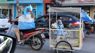 Argentina está en octavos: tres perritos formaron parte de la caravana en Roca. 