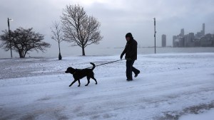 Una tormenta invernal en Estados Unidos causa cinco muertos y afecta a más del 70% de la población