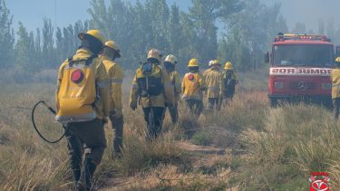 Bomberos realizaron numerosas intervenciones durante la jornada de ayer. Foto: Gentileza