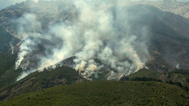 Buscan fortalecer el alerta temprana de incendios, saber lo antes posible cuando un foco ocurre para actuar. Foto: Archivo