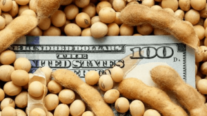 Por el Dólar Soja I, se desaceleró la recaudación impositiva en noviembre