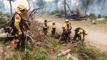 Si bien siguen combatiendo algunos focos del incendio forestal, para las autoridades la situación está controlada. Foto Archivo.
