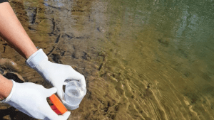 ¿Hay que tener cuidado al bañarse este verano en el Río Neuquén?