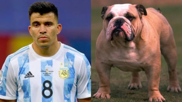 En Twitter compararon a los jugadores de La Scaloneta con perros. 