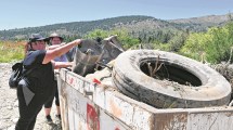 Imagen de Limpiaron las riberas del arroyo Ñireco en Bariloche