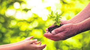 Claves para una educación sostenible
