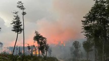 Imagen de Incendio forestal en Tierra del Fuego: la Justicia analiza audios que mencionan a posibles responsables