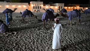 Cuáles son los síntomas del &#8216;Virus del Camello&#8217; que afecta a jugadores de Francia en el Mundial de Qatar 2022