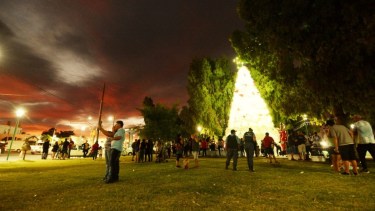 Desde avenida San Martín se aprecia el árbol (Foto: gentileza)
