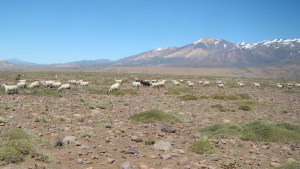 Neuquén pidió que se extienda la emergencia por sequía, por un año más