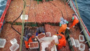En su primer día de trabajo como marinero, el buque se hundió en el Golfo San Matías y la ART deberá resarcirlo