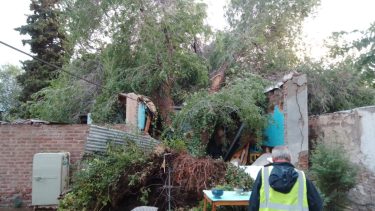 El árbol destruyó las dos habitaciones y un baño de la vivienda. Foto: Gentileza