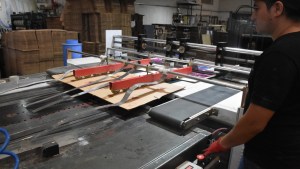 50 años del Parque Industrial de Neuquén: proyectos que miran al futuro