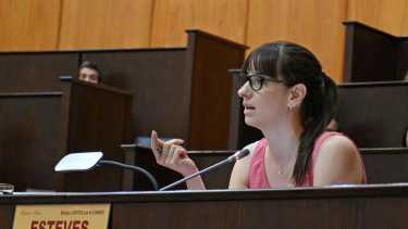 Leticia Esteves es diputada provincial del PRO y acompañará la candidatura de Figueroa. Foto: archivo Florencia Salto.