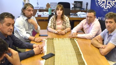 La diplomatura se llamará Kimeltuwe y tendrá una duración de ocho meses. Foto: Neuquén Informa