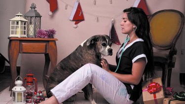 Vínculo emocional, ¿pueden somatizar los animales?