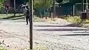 Maltrato animal: se supo que la perra asesinada en Junín era acompañante terapéutica y hay un testigo herido