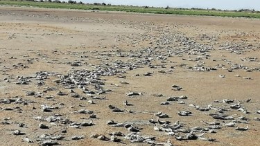 "Estamos caminando a escenarios de gran fragilidad", aseguran los funcionarios mendocinos.