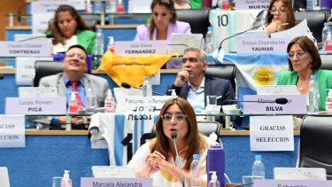 Marcela Avila argumentó el proyecto del presupuesto, presentado por el Ejecutivo. Foto: Marcelo Ochoa.