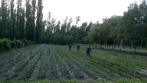 Jardín: una visita por los diferentes viveros provinciales de Neuquén