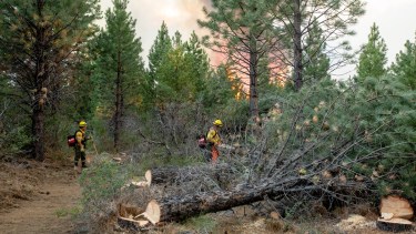 El último incendio afectó 1.300 hectáreas en Cuesta del Ternero. Foto: gentileza