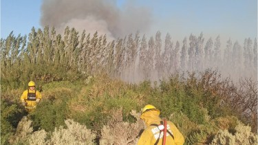 El incendio ocurrió ayer por la tarde cerca de las 17 y se logró apagar a las 00. Foto: Facebook de Bomberos Picún Leufú
