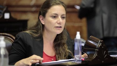 Vanesa Siley se enojó con Mario Negri porque la interrumpía y no le dio la palabra «por machirulo»