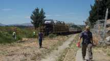 Imagen de El tren llegó a Bariloche con la bandeja de autos, 44 horas después de salir de Viedma