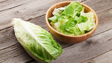 Científicos de la Red de Seguridad Alimentaria del Conicet hicieron una revisión de estudios sobre los patógenos que se detectan en vegetales consumidos en América Latina /Crédito: CDC