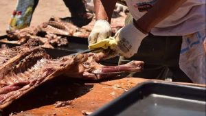 Largó la venta de corderos a Precios Justos en Roca, hasta agotar stock