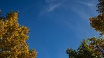 Imagen de Clima: el pronóstico del tiempo en Neuquén y Río Negro para este viernes 17 de febrero