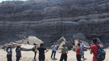 Entre las actividades se puede realizar el avistaje de flora y fauna en El Cóndor.