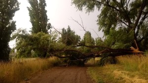 Temporal de viento volvió a castigar instalaciones eléctricas de General Conesa