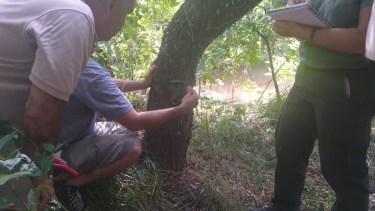 Instalan cámaras trampa y una jaula trampa con cebo vivo. Foto: Gentileza.