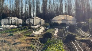 Contralmirante Cordero y Barda del Medio declarado municipio agroecológico