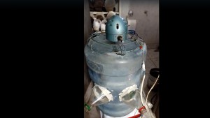 Original: mirá la «máquina» que creó para pasar el calor en Neuquén