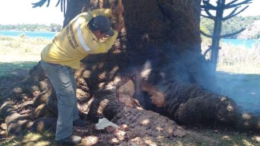 Con el enfriamiento, se logró evitar que el fuego se propague. Foto: Gentileza Facebook Lorenzo Felix Lorente.  