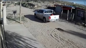 Maltrato animal en Plottier: ató a un perro a su auto y lo arrastró varios metros