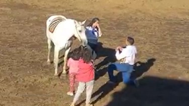 Le pidieron casamiento en la Fiesta del Asado con Cuero en Aluminé. Foto: Captura de pantalla.
