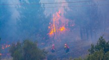 Imagen de Incendio en El Hoyo: hay casi 60 personas evacuadas y sigue el combate del fuego