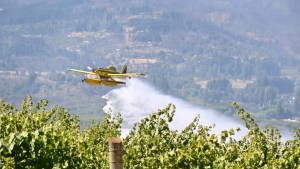 El combate del incendio en El Hoyo en impactantes imágenes