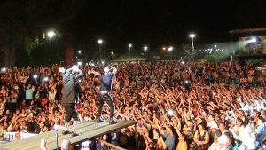 Suspendieron la Fiesta Nacional del Bosque en Lago Puelo por «falta de fondos»