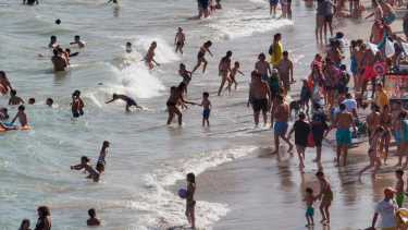 En las bajadas céntricas se prohibiría bajar con las mascotas. La medida ya existe, pero no se controla. Ahora, se estudia multar a los que incumplan Foto/ Martín Brunella