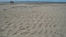 Imagen de Playas Doradas: cuánto cuesta alquilar en febrero y el finde XXL de carnaval en esta joya de la Patagonia