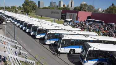 Las unidades se irán sumando al transporte público de forma paulatina y llegarán a 180. (Yamil Regules).-