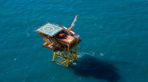 Imagen de Ambientalistas presentaron un recurso extraordinario contra la exploración offshore