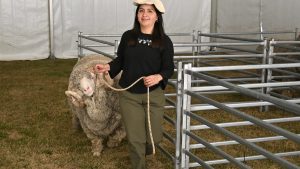 La Expo Rural de Bariloche abrió sus tranqueras y el calendario de remates de Río Negro